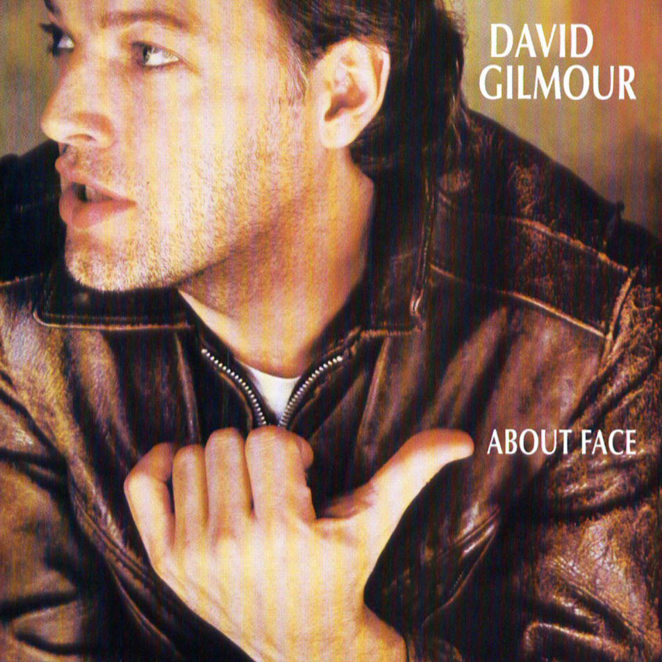 David Gilmour About Face